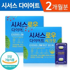 시서스 로우 다이어트 시크릿 식약처 원료 인정 건강기능식품 식전다이어트 식물성 씨서스 시서스추출물 칼로리 컷팅 가루 분말 정제 보조제 알약 모양 캡슐 영양제 성인 남성 여성 추천, 2박스, 28정 (4주분)