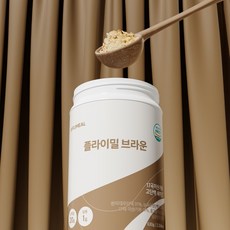 플라이밀 단백질 쉐이크 대용량 630g, 브라운(630g/14회분), 1통