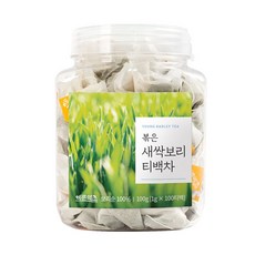 바른에프엔비 새싹보리 티백, 1g, 100개