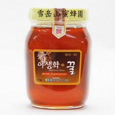 설악산허니팜 야생화꿀, 1.2kg, 1개