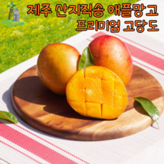 제주도 프리미엄 애플망고 소~왕특대 2~3kg 선물포장 가능, 소과 2kg(20개 내외)