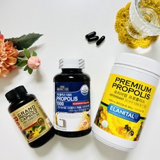 프로폴리스 플라보노이드 몸속 만성 염증 독소 제거 항산화 항염 면역력 증진 높이는 영양제, (선택2)프로폴리스 180캡슐