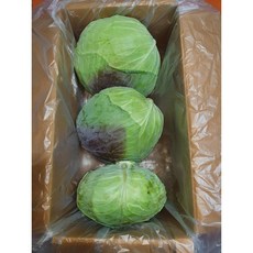 [양배추](6-7kg 2-4입/1Box) 국산 대용량 위에좋은 깐 손질 양배추, 6-8kg 국내산 양배추
