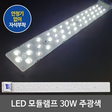 디럭스 KS인증 LED모듈 방등 거실등 형광등 LED전구 LED거실등 LED주방등, 03.LED모듈 220V 직결 30W 주광색