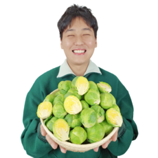 산지직송 제주 미니 방울 양배추, 1kg / 정품 / 25~55알 내외