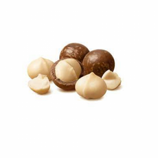 마카다미아 500g 견과류 베트남 프랑스 호주, 1개, 상세페이지 참조