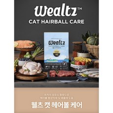 [사은품 증정] 웰츠 캣 헤어볼케어 6kg