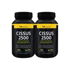 2병 마이라이프 시서스 Cssus 2500 120 야채캡슐, 2병 마이라이프 시서스 Cissus 2