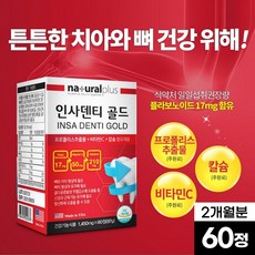 치아 영양제 인사 덴티 골드 60정 칼슘 프로폴리스 비타민C 옥수수수염 추출분말 리소짐 부모님 어르신 노인 치아 뼈 건강 알약케이스 포함, 1박스(2개월분)