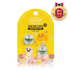LG 생활건강 아우라 카카오 차량용 방향제 리필 2mLx2 홀리데이판타지