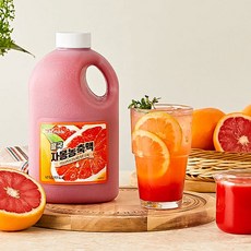 흥국에프앤비 자몽 농축액(아이스포장), 1.5L