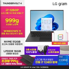 LG그램 14인치 15인치 14ZB90Q 인텔 i7 12세대 16GB 512GB 초경량 999g WIN11 블랙 인강용 사무용, 14ZB90Q-G.AAC6U1, WIN11 Home, 1TB, 코어i7