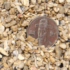 산호사 3~5mm(약3.5kg)