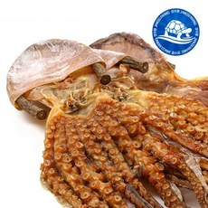 장수왕 피문어 (중대 40-45cm) 1마리 /말린 문어 제수용 약문어 건문어, (중대)40-45cm