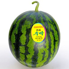 산지직송 꿀수박 3kg 4kg 5kg 6kg 7kg, 산지직송 꿀수박 4~5kg미만