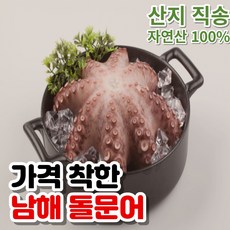 가격착한 남해 돌문어 1kg 2kg 당일 조업 당일 배송 시스템 피문어 자연산 숙회 회 문어, 1kg (1~3미/2~3인분), 1개