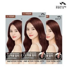 꽃을든남자 염색약 CS 먹물 헤어칼라 N6 자연갈색x3개 새치커버용, 3개, N6 자연갈색