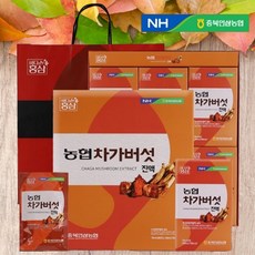 (1+1) 농협 차가버섯 진액 70ml x 30포+30포 (총60포 총2박스) 부모님건강식품선물, 2박스, 30포