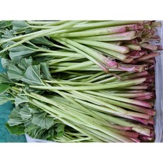 [서기네농장] 자연에서 자란 야생 머위잎 500g 1kg, 머위대1kg