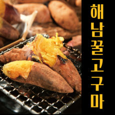 해남 산지직송 꿀 고구마 베니하루카 3kg 5kg 10kg, 꿀고구마 대 5kg(300g이상), 1개