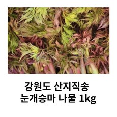 국내산 산지직송 눈개승마 나물 1kg 삼나물 고기나물 봄나물, 1개