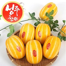 성주참외 동국농산 산지직송 당도선별 실속형 고급형 당일수확, 1박스, 3kg/실속형/대과