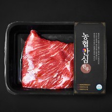 농협안심한우 양지 덩어리 2등급 국거리 수육 장조림용 (냉장), 300g, 1팩