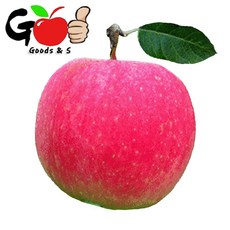 (굿스사과) (첫수확 초특가) 아삭아삭 달콤한 홍로 햇사과 4kg / 7kg, 1, 1박스
