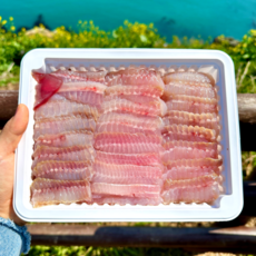 [산지직송] 국산홍어회 목포 흑산도 홍어 삭힌홍어 국내산홍어 500g 1kg 1.5kg (당일손질), 1.국내산홍어 500g, 중간숙성, 1개