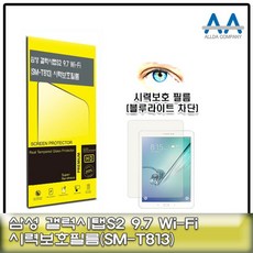 갤럭시탭S2 9.7 보호필름(SM-T813) 블루라이트차단, 본상품선택