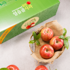 신복농원 [복팜] 밀양얼음골사과 햇사과[부사] 가정용 꼬마사과 5kg 산지직송 GAP농가 농부직송, 1박스, 꼬마5kg (25개 내외)