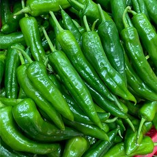 금성식품 중국식품 중국얇은고추 맛잇는고추 400g, 1개