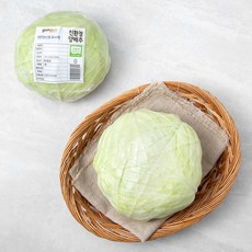 곰곰 친환경 양배추, 1개