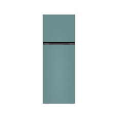LG전자 디오스 오브제컬렉션 2도어 일반냉장고 335L 방문설치, 클레이 민트, D332MCT34