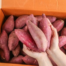 [농부마음] 리뷰"11000건" 품질인증 22년 햇 꿀 밤고구마 세척고구마, 5kg(긴특/긴상), 1box