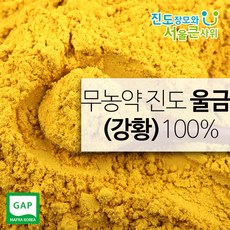 진도장모와서울큰사위 진도 강황가루 500g, 1개