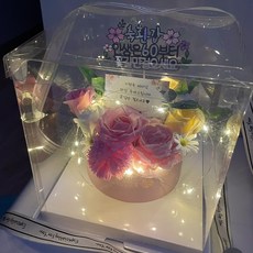 [문구제작+토퍼+투명상자]돈뽑는 반전 돈케이크 환갑 칠순 생신 용돈이벤트, (추가품)20구LED추가