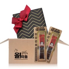 올따옴 정관장 홍삼정 에브리타임 밸런스 핏 14T 리본포장 선물세트, 1개, 1개