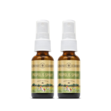 (2개세트) 허니가든 프로폴리스 스프레이 30ml, 2개