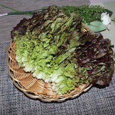 적상추4kg1박스 자연대로팜웨이, 적상추4kg 1박스