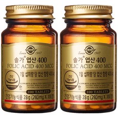 솔가 엽산 400, 100개입, 2개