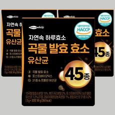 곡물 발효 효소 유산균 웰핏 45종 자연속 하루 효소 분말 프로바이오틱스, 30포, 90g, 3개
