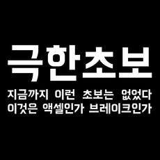 초보운전 차량용 스티커 극한초보, 1개