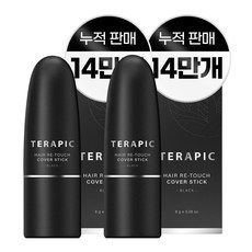 테라픽 헤어 리-터치 커버스틱 8g, 블랙, 2개