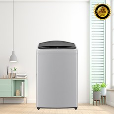 LG전자 통돌이 세탁기 T19DX7 19kg 방문설치, 미드 프리 실버