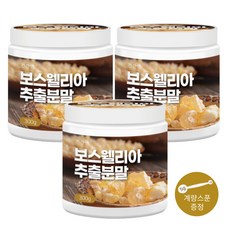 보스웰리아 100% 고농축 고함량 추출 분말 가루 인도산 관절 연골 무릎 허리 손목 어깨 관절 추천, 보스웰리아 3개(9개월분)