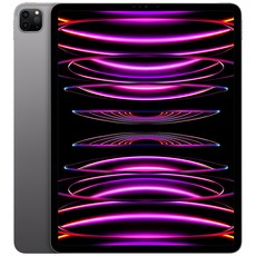 Apple 정품 2022 아이패드 프로 12.9 6세대 M2칩, 스페이스그레이, 256GB, Wi-Fi
