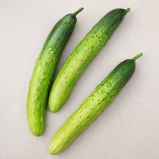국내산 친환경 오이, 3입