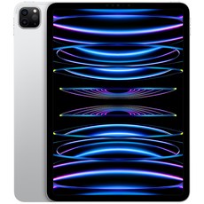 Apple 정품 2022 아이패드 프로 11 4세대 M2칩, 실버, 256GB, Wi-Fi