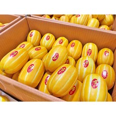허니삼구 특품 아삭아삭 꿀 참외, 1박스, 참외10KG내외(56-80과)소과